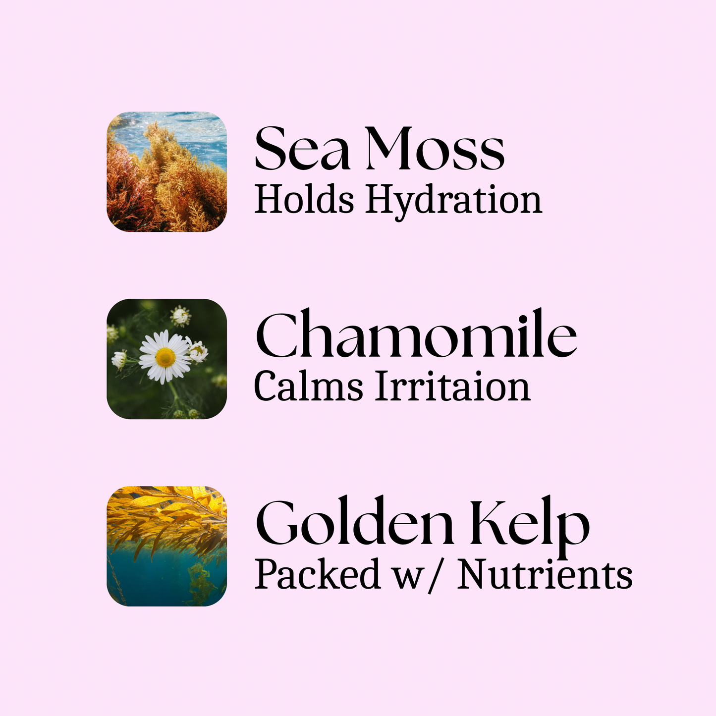 Sea Moss Hydrating Cleanser