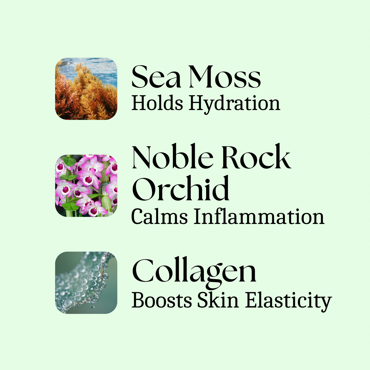 Sea Moss Moisturizing Serum